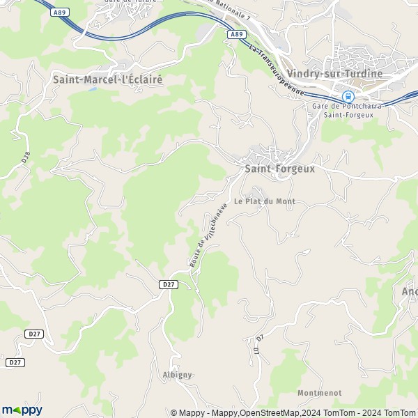 La carte pour la ville de Saint-Forgeux 69490